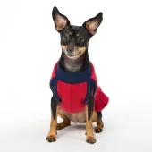 Vestido Soft para Cães e Gatos Fábrica Pet Vermelho
